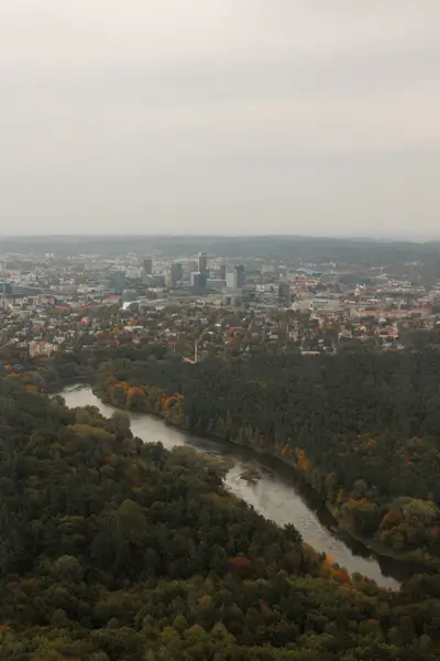 010A6520.jpg