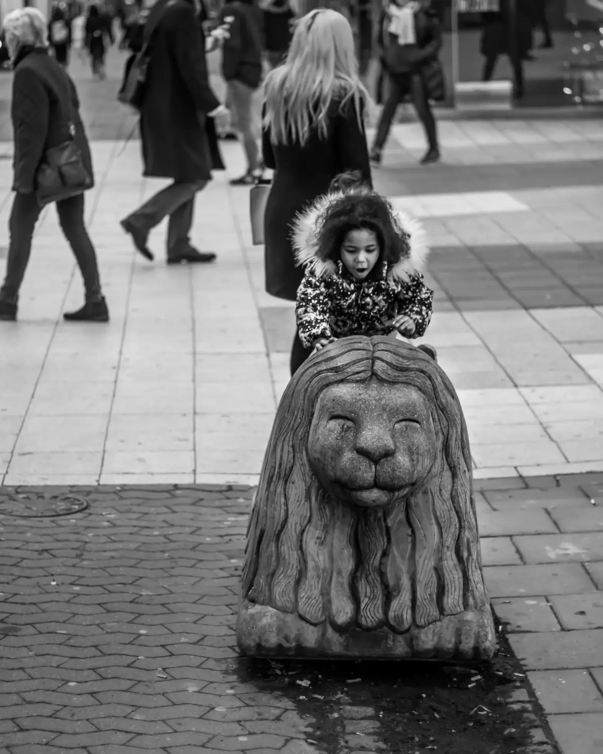 canon 1200D
canon 50 F1.8