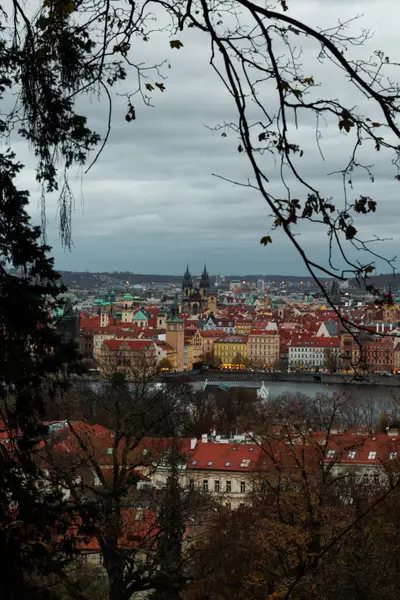 010A6828.jpg