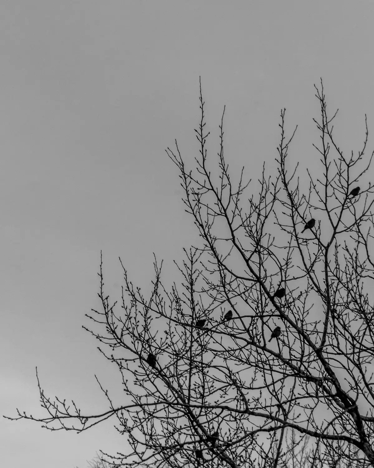 IMG_9358.jpg