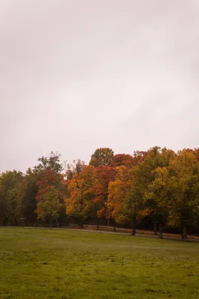 010A8578.jpg
