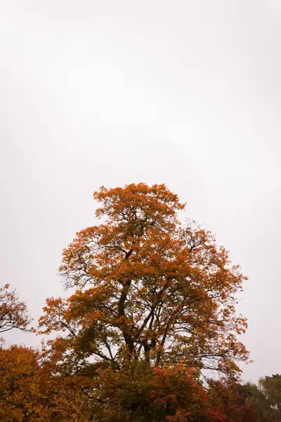 010A8607.jpg
