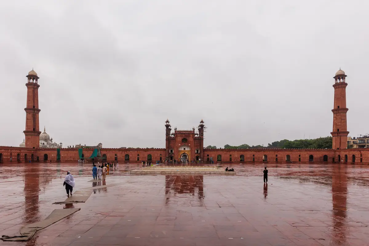 010A7971.jpg