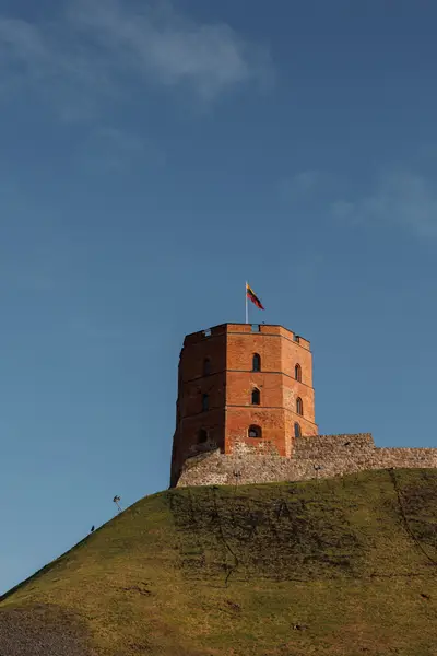 010A6424.jpg