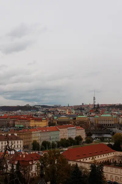010A6425.jpg