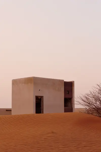010A2446.jpg