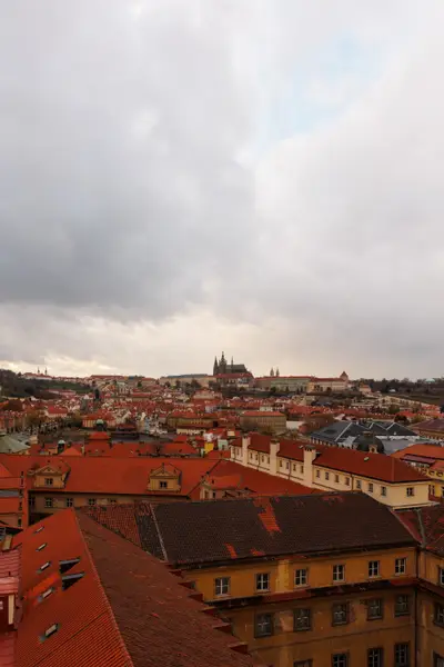 010A7022.jpg