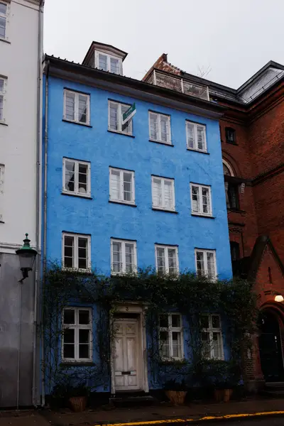 010A9208.jpg