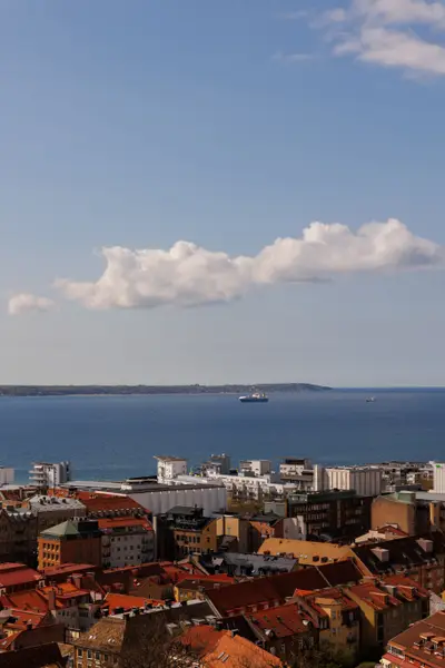 010A6296.jpg