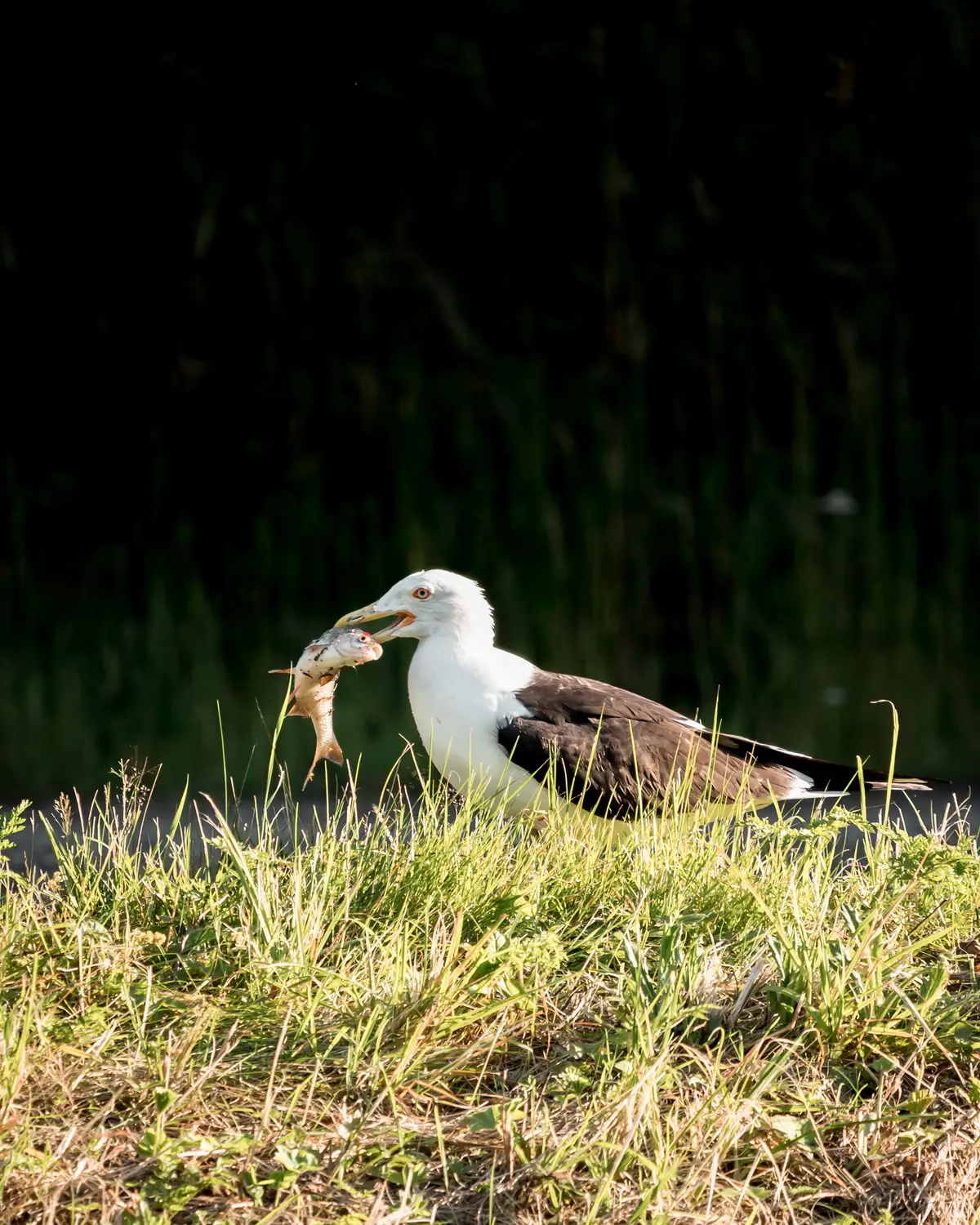 IMG_9689.jpg