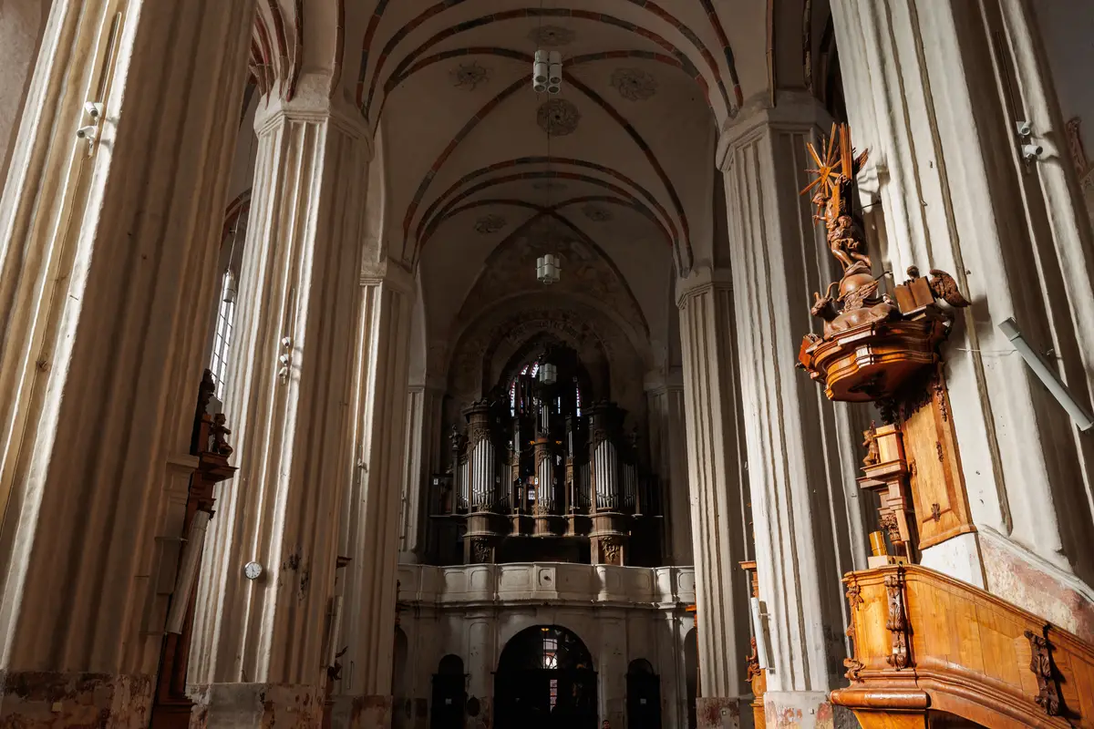 010A6455.jpg
