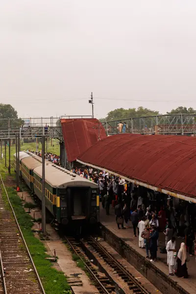010A8204.jpg