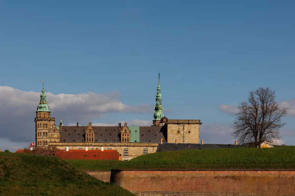 010A6337.jpg