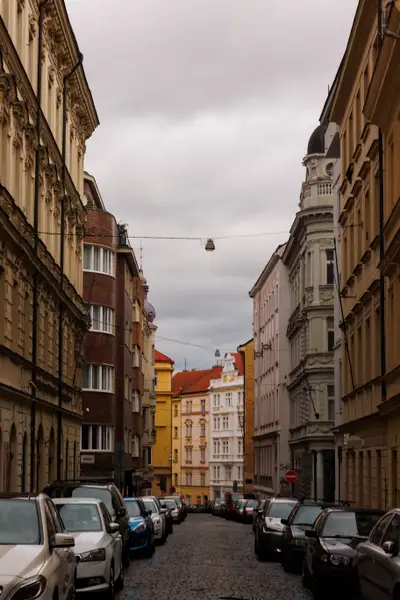 010A6525.jpg