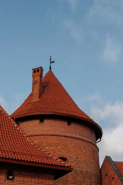 010A6557.jpg