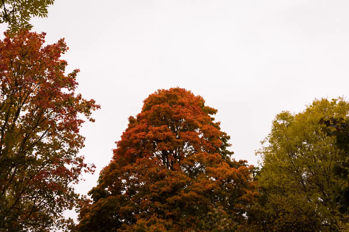 010A8655.jpg