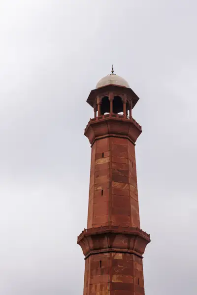 010A7988.jpg