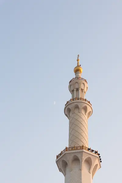 010A2244.jpg