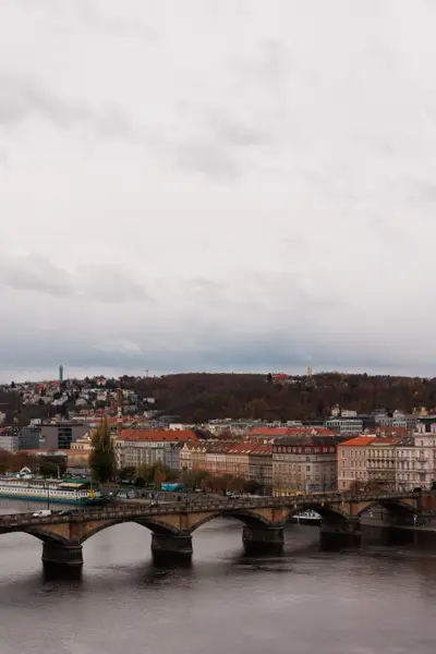 010A5784.jpg