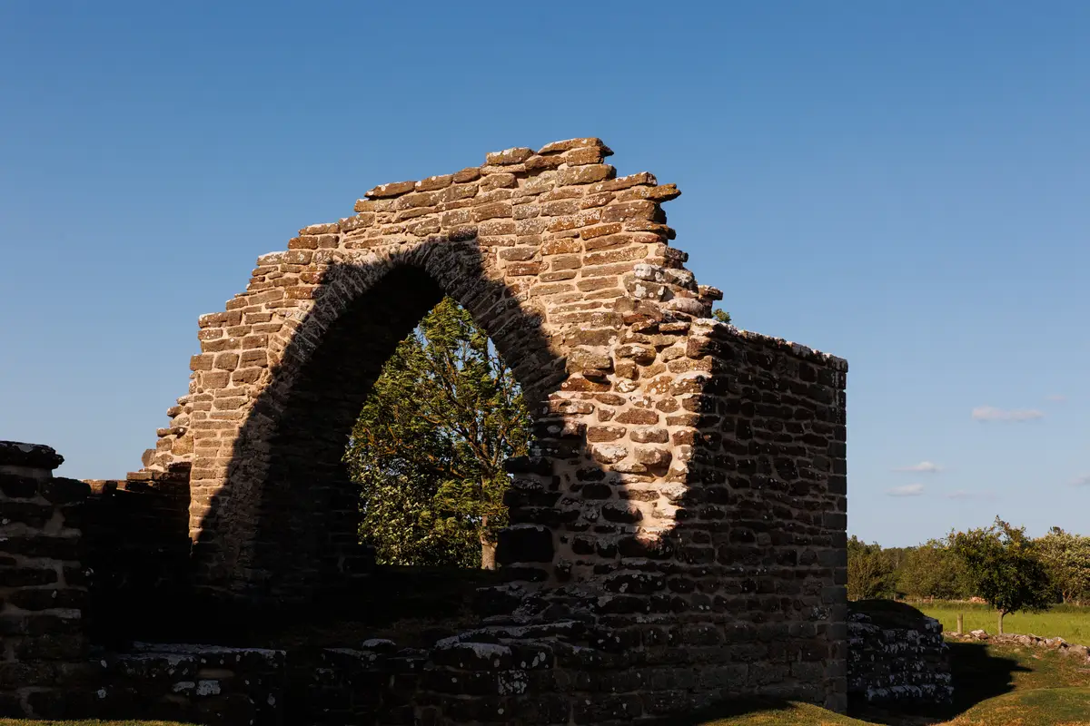 010A2942.jpg