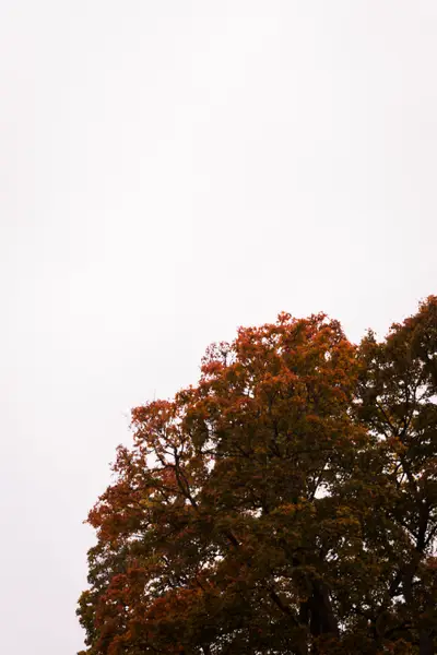 010A8563.jpg