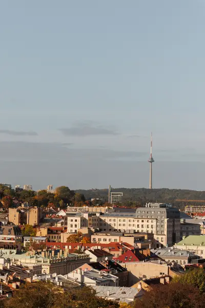 010A6435.jpg