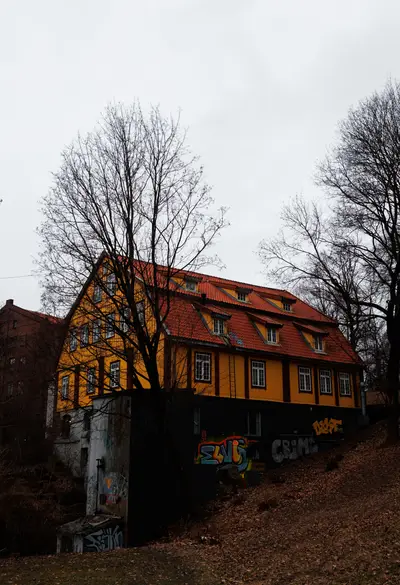 010A1182.jpg