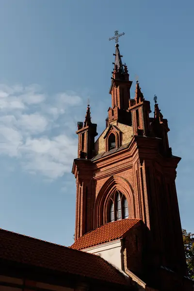 010A6458.jpg