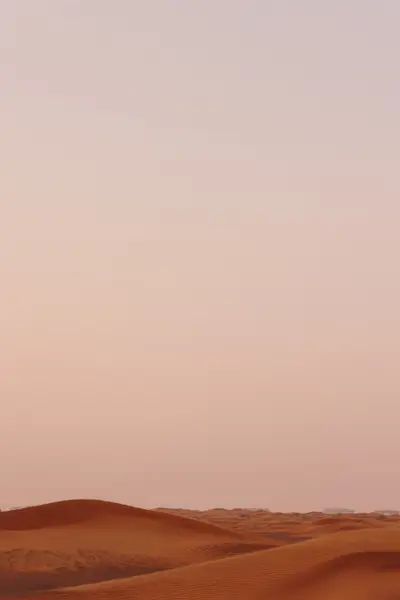 010A2368.jpg