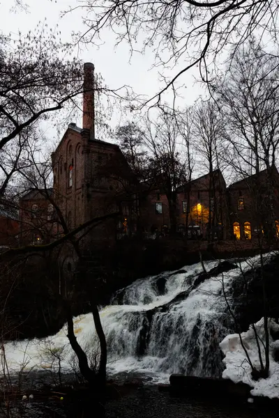 010A1184.jpg