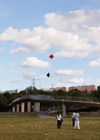 010A5386.jpg