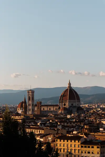 010A5916.jpg