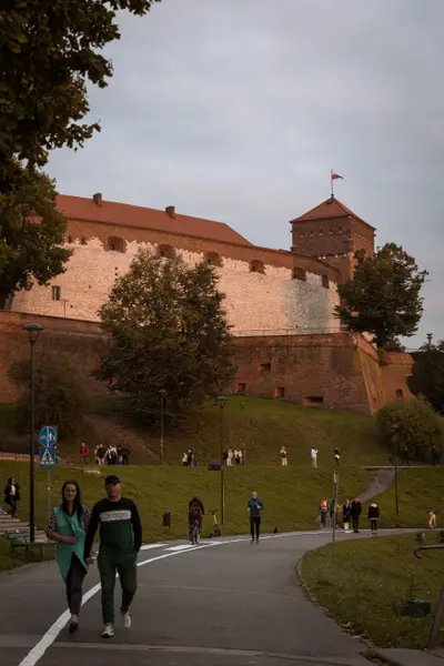 010A9412.jpg