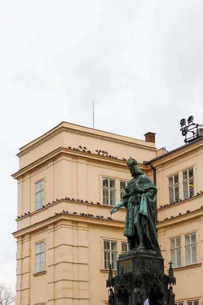 010A6062.jpg