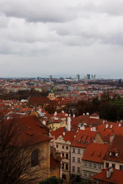 010A6362.jpg