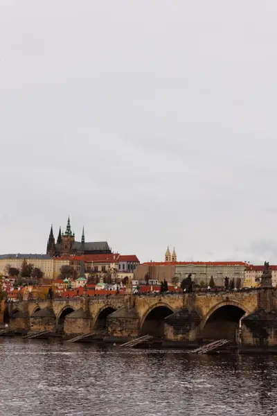 010A5940.jpg
