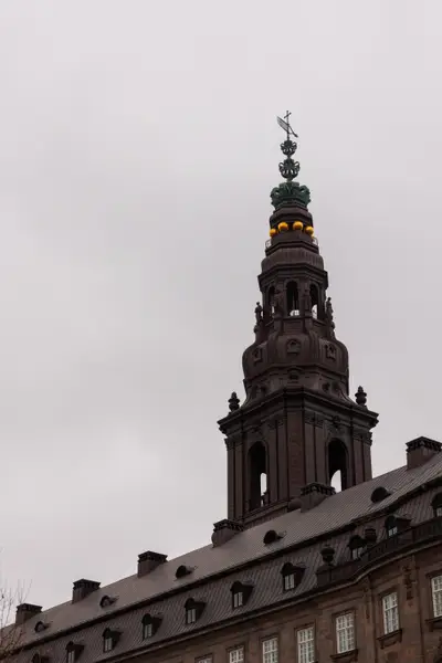 010A9581.jpg