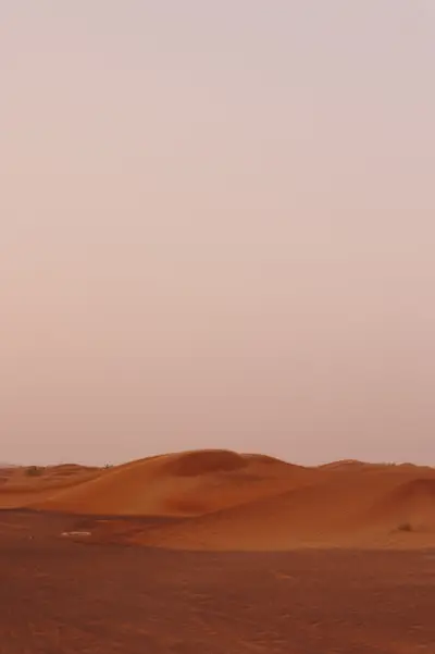 010A2367.jpg