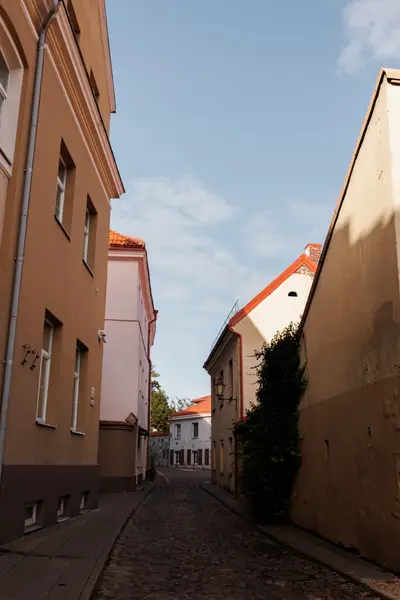 010A6461.jpg