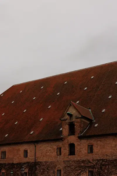 010A9642.jpg