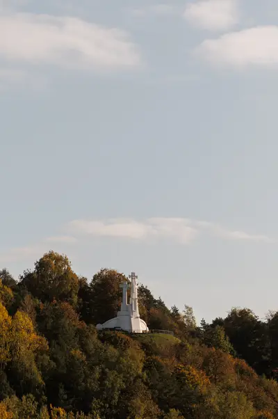 010A6436.jpg