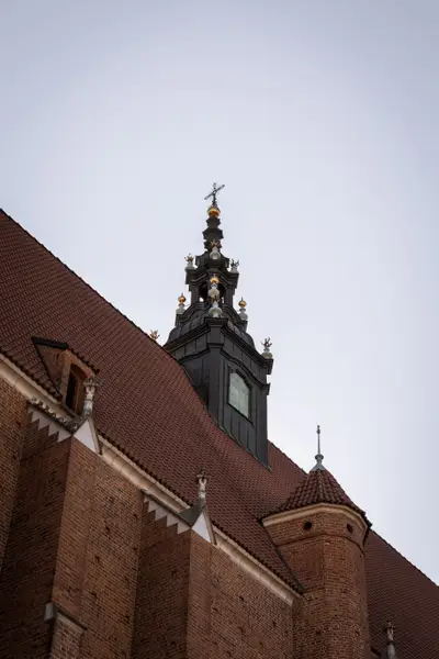 010A9503.jpg
