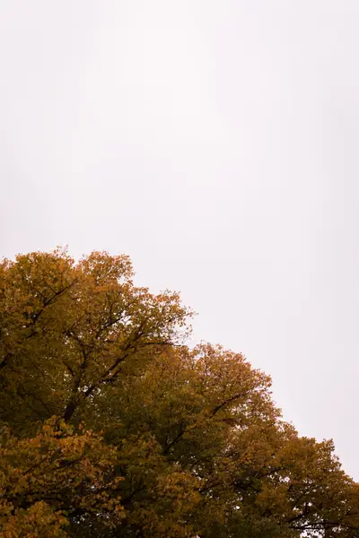 010A8566.jpg